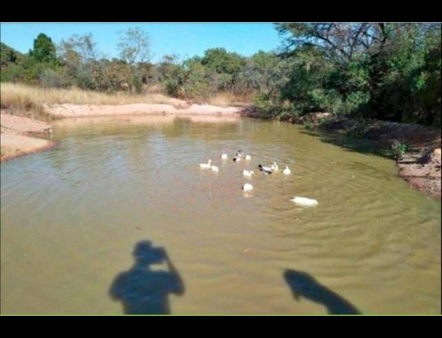 FARM FOR SALE IN CULLINAN
